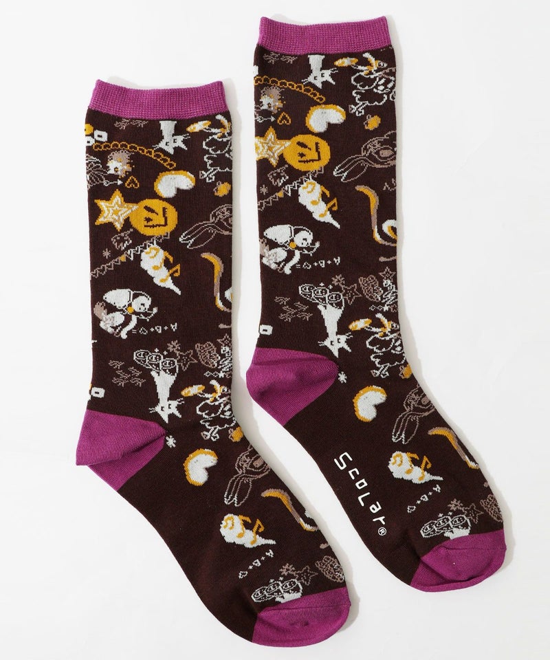 スカラーウサギと犬柄ソックス-12