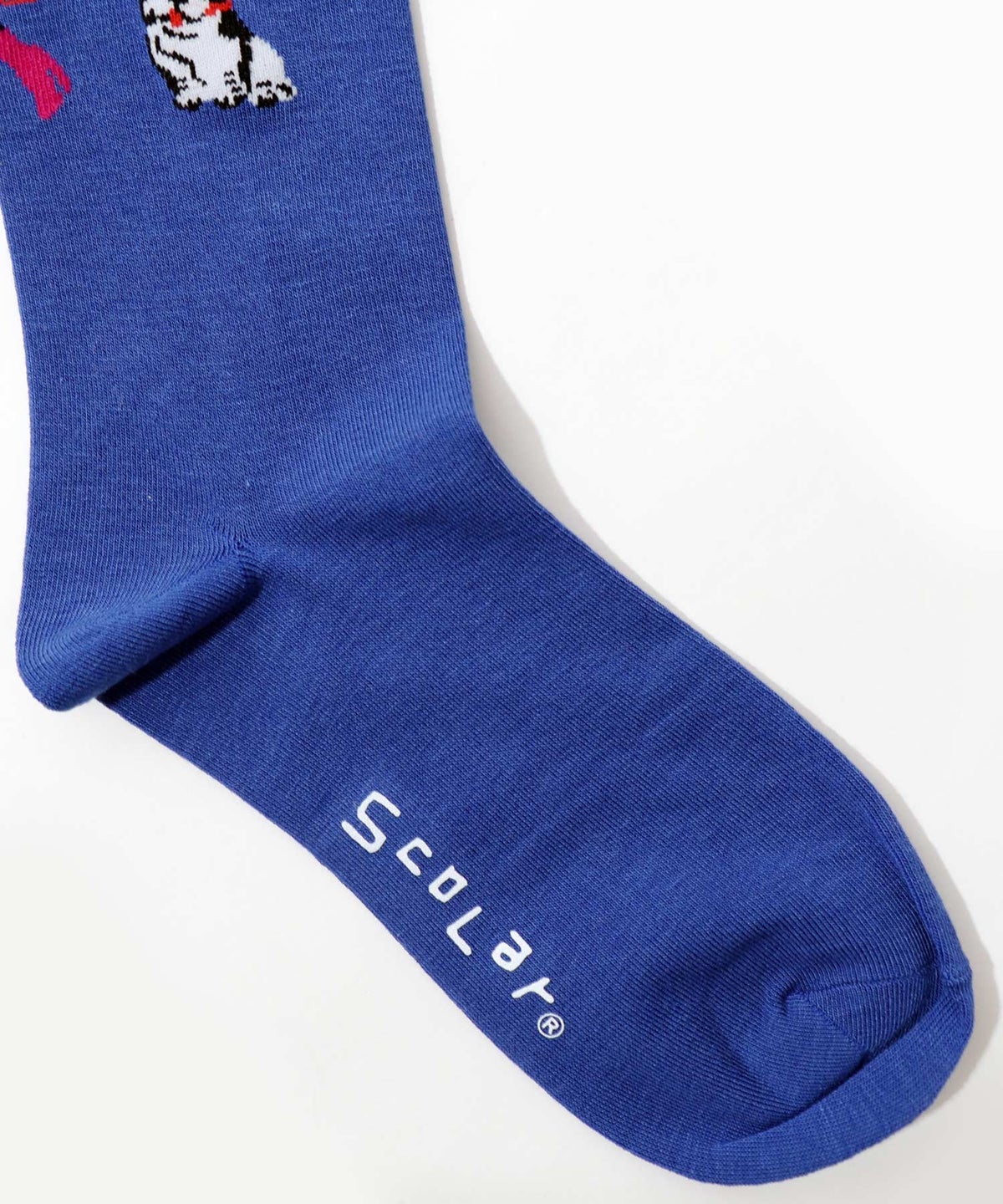 スカラー犬の散歩柄ソックス-11