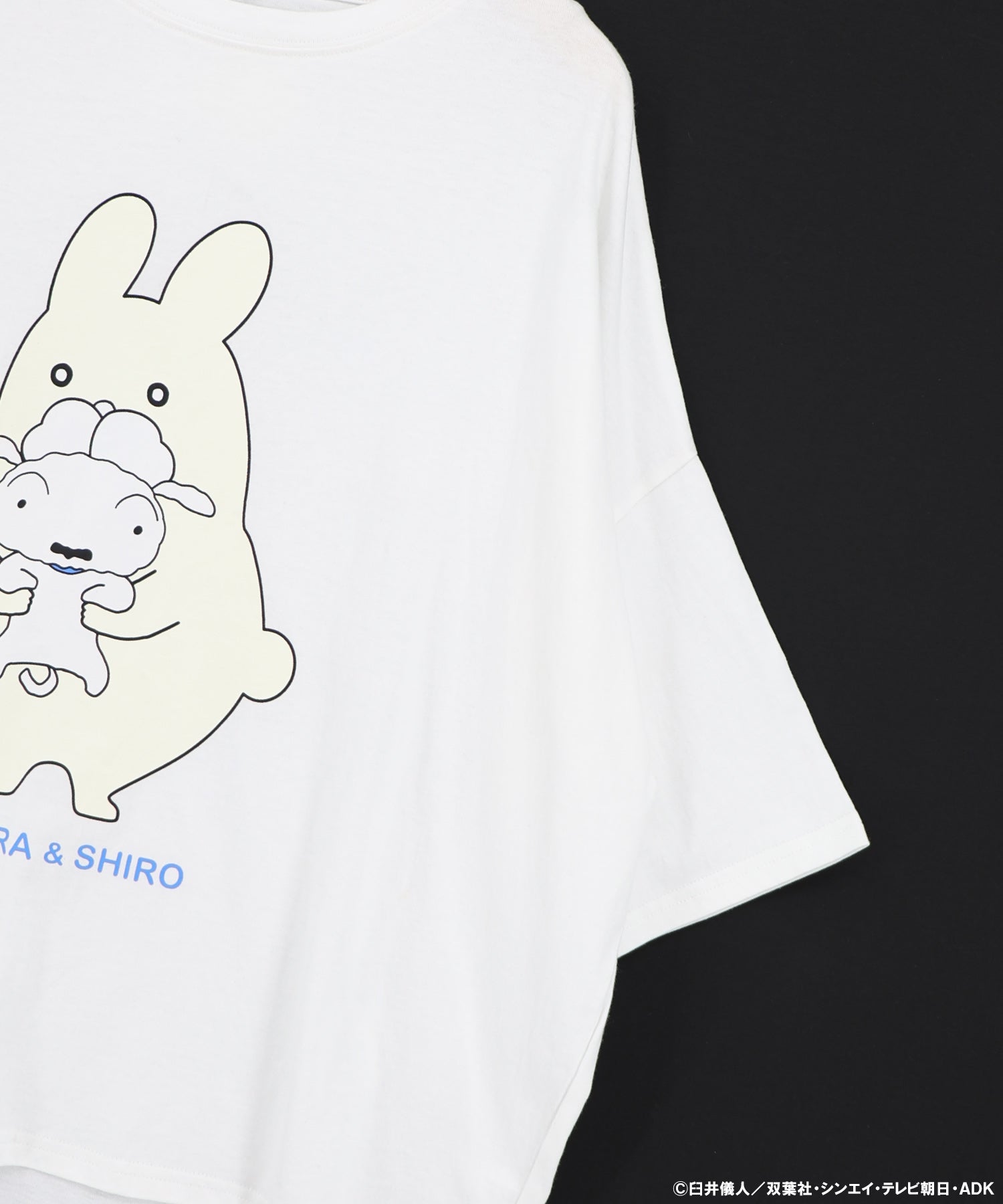 7月中旬頃発送予定】462018：クレヨンしんちゃん×ScoLar ポポラ＆シロ