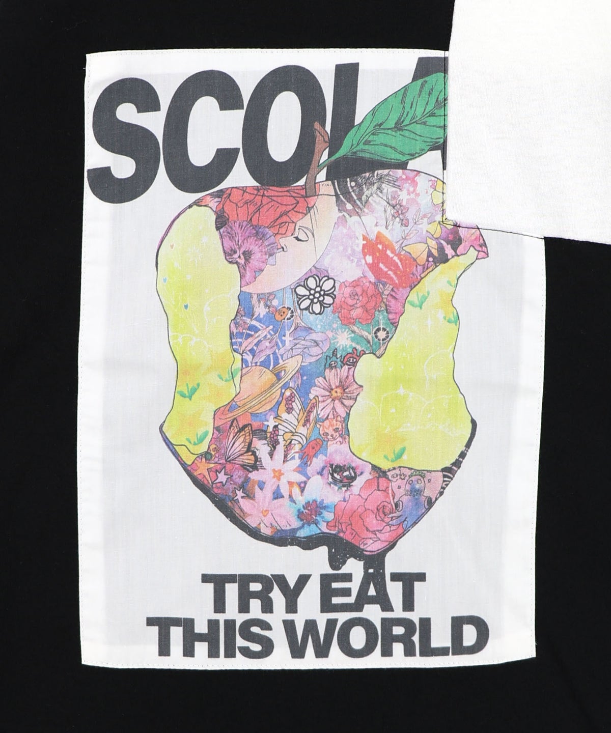 世界を味わう配色Tシャツ-13