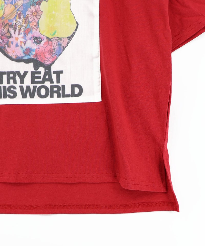 世界を味わう配色Tシャツ-23